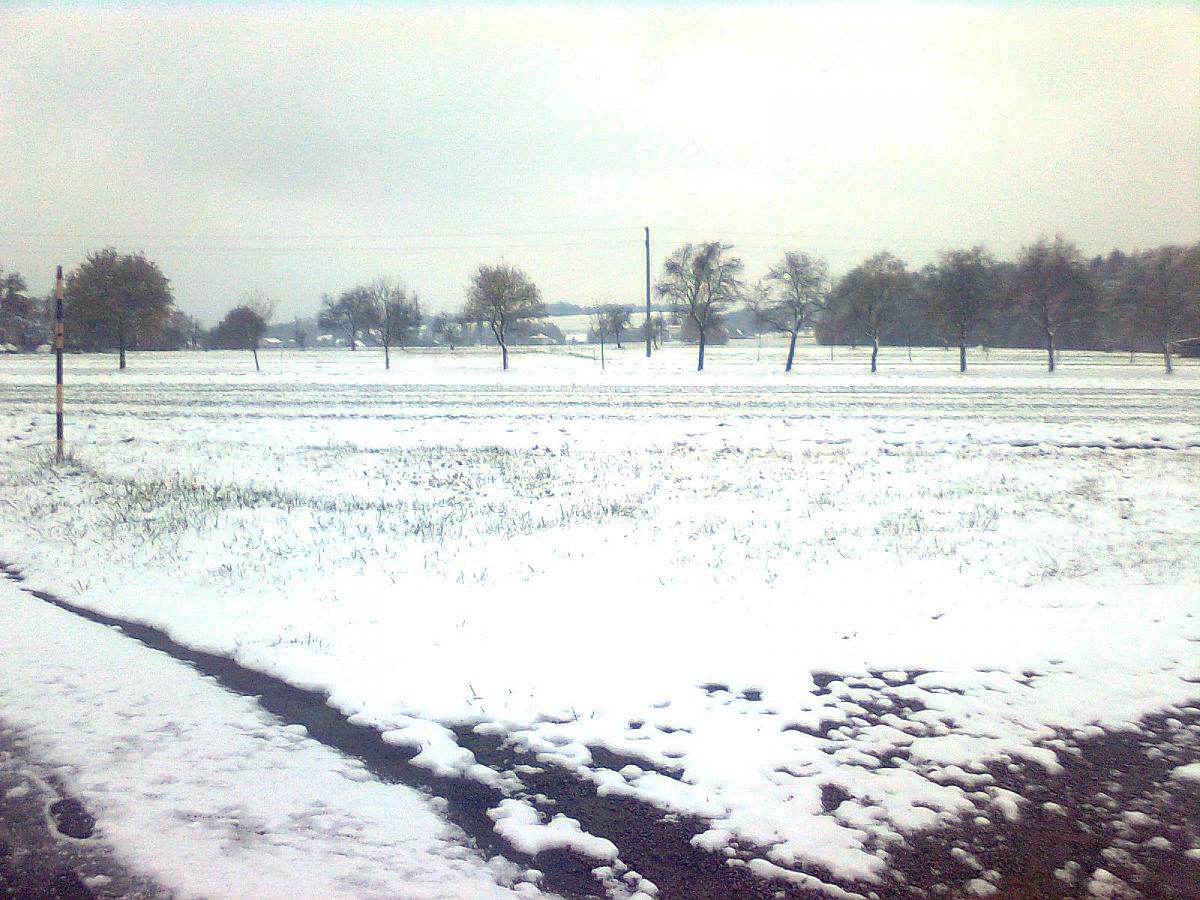 Český Těšín